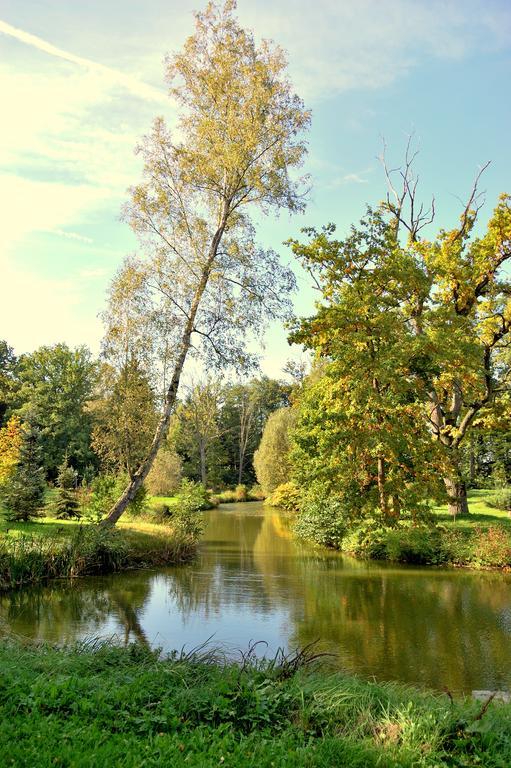 Bed & Breakfast Palac Jablonowo Ujście